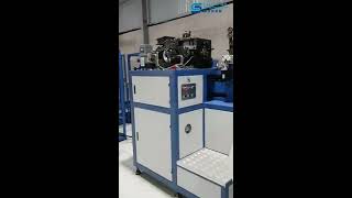 Famous Mattress Automatic pocket spring machine and assembling machine production line Wealth