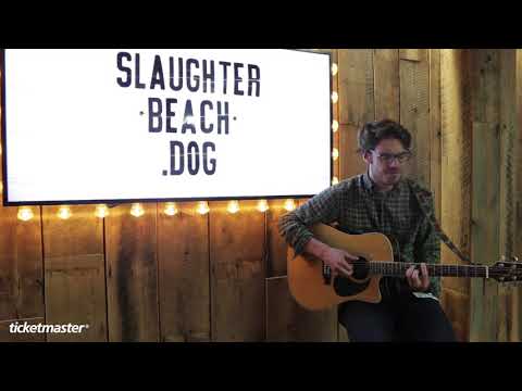 Watch Slaughter Beach. Dog perform in session
