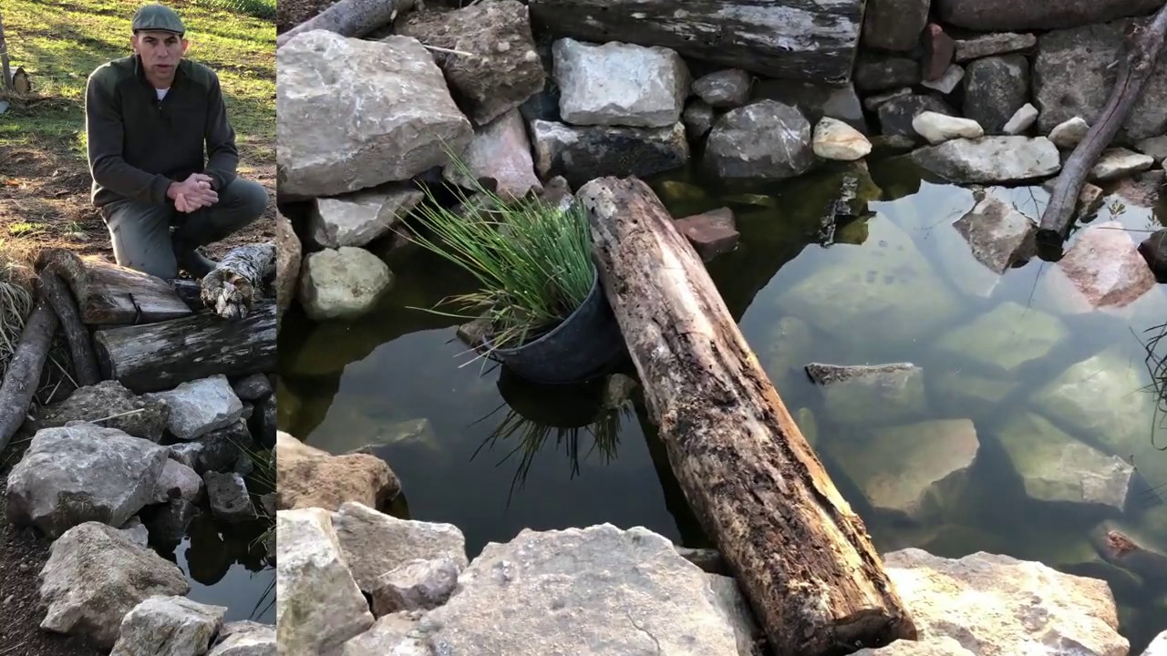 Aménagement d'une mare à la micro ferme