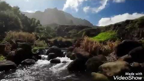 سورة المنافقون بصوت الفقير إلى الله/ عبدالكريم اللقاني