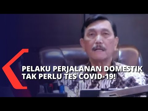 Luhut Binsar Panjaitan: Pelaku Perjalanan Domestik Tak Perlu Tes Antigen atau PCR