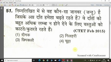 CTET / JTET / UPTET / BTET / MPTET/ Super TET / EVS / Environmental Studies / पर्यावरण अध्ययन 14 MCQ