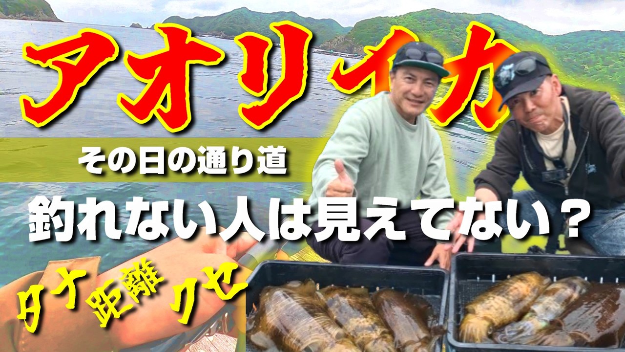 釣果が倍？アオリイカが通る道を見極めるのが重要！そして判断とは？