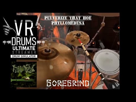 Goregrind Style Drumming - Pulverize That Hoe - Phyllomedusa (VR Drums Ult.) Virtual Reality