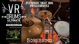 Goregrind Style Drumming - Pulverize That Hoe - Phyllomedusa (VR Drums Ult.) Virtual Reality