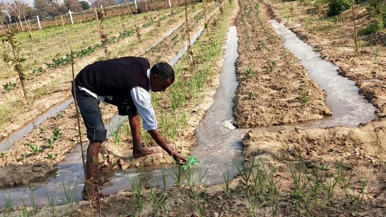 Follow Water Footprints to Find Virtual Water.