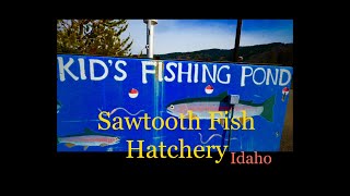SAWTOOTH Fish Hatchery IDAHO