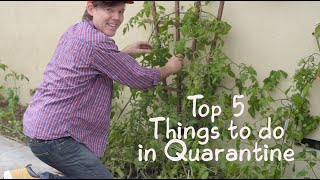 Top 5 Things to do in Quarantine