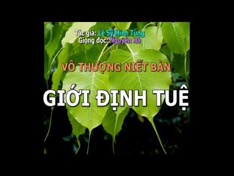 Video GIỚI ĐỊNH TUỆ - youtube