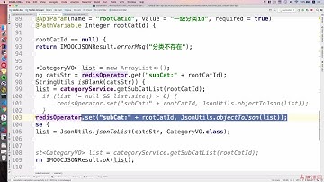8-1-1 缓存穿透的解决方案