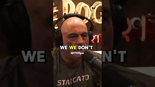 Blackout: The 6-Month Global Power Crisis🌎⚡️ #joerogan #joeroganpodcast #blackout Blackout: The 6-Month Global Power Crisis🌎⚡️ #joerogan #joeroganpodcast #blackout