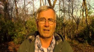 Composting versus burning leaves