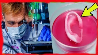 3D-Биопринтинг | Технологии Трехмерной Печати Органов