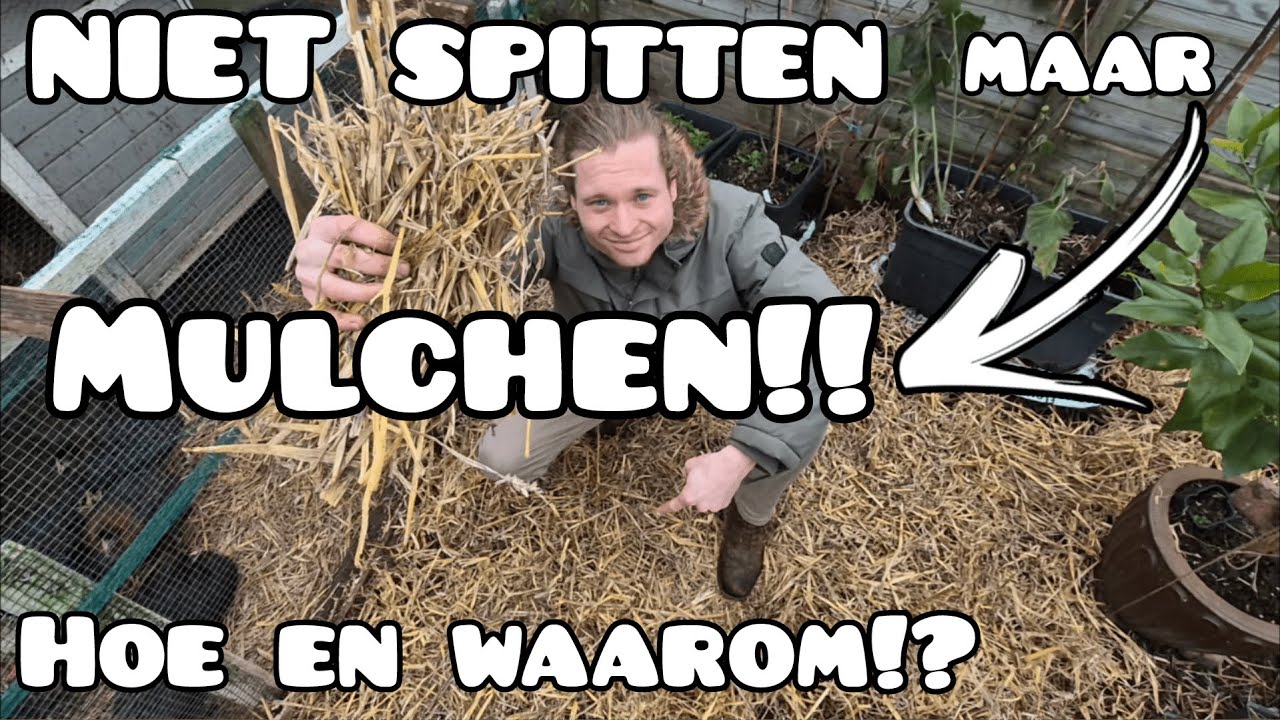 Bodemleven stimuleren met Mulch - Uitleg geïnspireerd door @Dr. Elaine's Soil Food Web School!