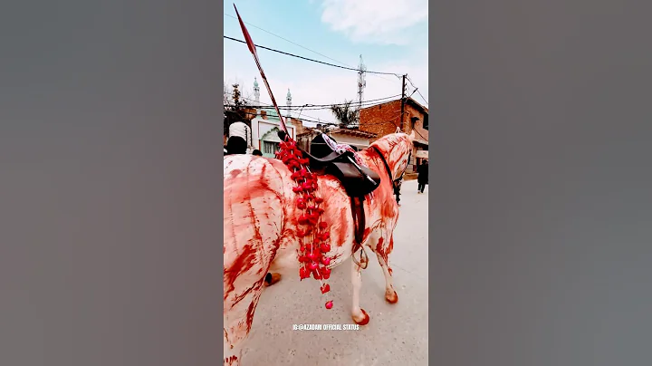 Zuljanah Maula Abbasع | #moharram2023 #nowgawansadat #labbaikyahussainع #subscribenow 🙏