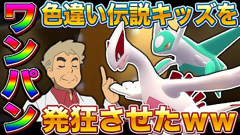 ダイパリメイク自然発生色違い ダイパリメイク自然発生色違い