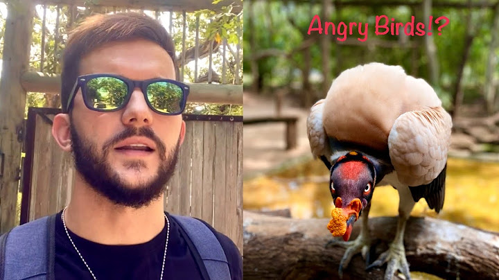 BEAUTIFUL COLOMBIAN NATURE and Animals | National Aviary of Colombia - Cartagena