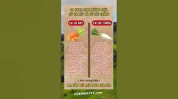 SO SÁNH CÀ RỐT VÀ CỦ CẢI