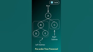 Preorder Tree Traversal 🌳 #programming #coding #datastructures #tree #shorts #basics #codinglife