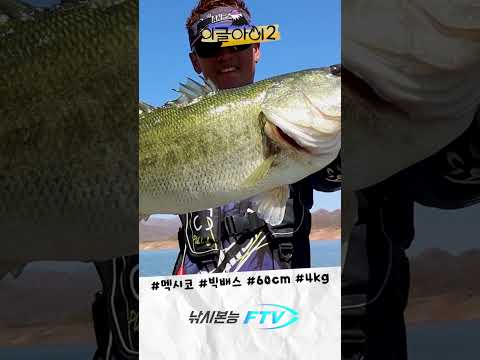 멕시코 6짜 빅배스 구경할 사람~~ #양영곤 #멕시코 #엘코메데로 #런커 #빅원 #Monster #Bass #<strong>Lunker</strong>