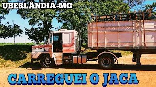 ✅CARREGUEI O JACA PARA O TOCANTINS.....BORA QUE BORA