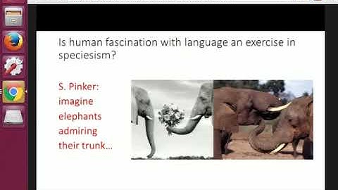 Lecture 3: Language in the Brain - Christos H. Papadimitriou