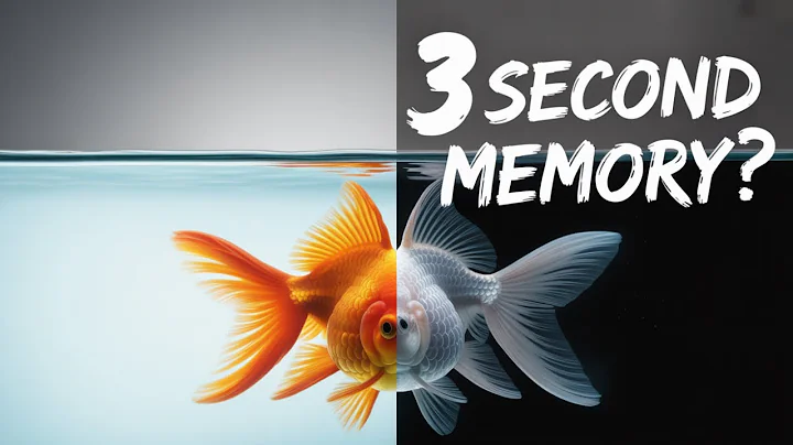 Do Goldfish Really Have a 3-Second Memory? | True or Busted? Ep. 2