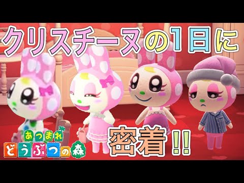 あつまれどうぶつの森 クリスチーヌの情報まとめ 好みや相性もらえるレシピなど あつ森 攻略大百科