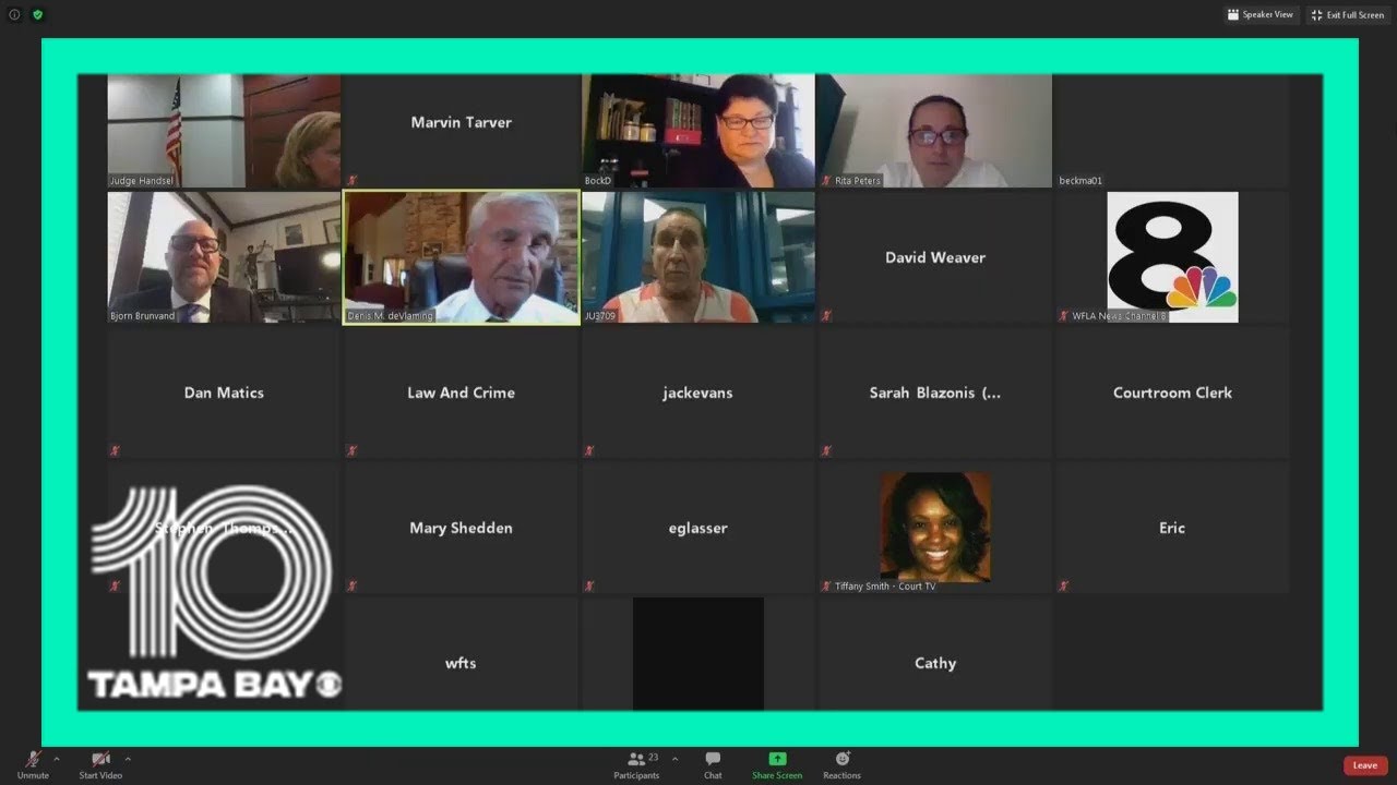 Former Port Richey mayor Dale Massad appears in court