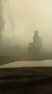 Waduh, Kabut Asap Tebal di Provinsi Ibu Kota Baru, Pemotor Tabrak Pohon
