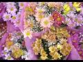 LAS MARGARITAS-RANCHERA-ADELA