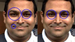 Famous OpenCV Eye Detector : Train a better detector Wealth