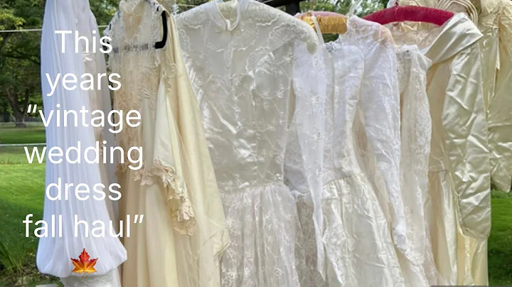 This years “vintage wedding dress fall haul” from my favorite thrift store 