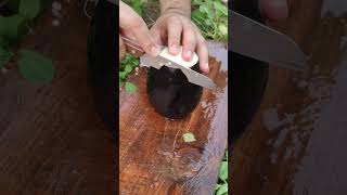 GT 71000614 mini rotary tillage and ridging all-in one tree 🌴