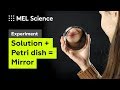 How to make a mirror from 2 solutions silver mirror experiment