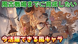 【グラブル】風古戦場までに育成しておきたい、現環境で活躍できる風キャラについて解説！