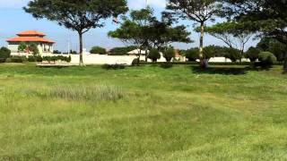 Copter X 450 Black Angel Flybarless   Stock Copter X electronics.  CX - 3x900