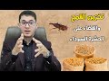 تخزين القمح كيف تقضي على الحشرة السوداء أمين صبري