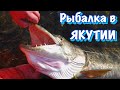 Ловля ТРОФЕЙНОЙ ЩУКИ на спиннинг  🎣 Рыбалка на реке Лена 🏕 Удачная Рыбалка в Якутии 🦟=❤️