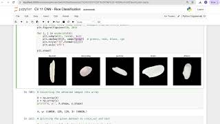 CV 11 | CNN - Rice Classification | Artificial Intelligence | talks ai