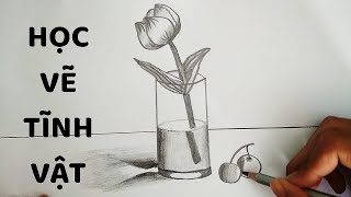 Vẽ Tĩnh Vật Lọ Hoa Va Quả Bằng But Chi How To Draw Still Life 2 Youtube