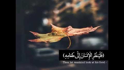 القارئ عبدالرحمن الماجد من سورة عبس