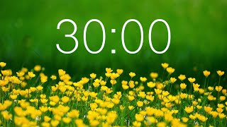30 Minute Countdown Timer for Spring