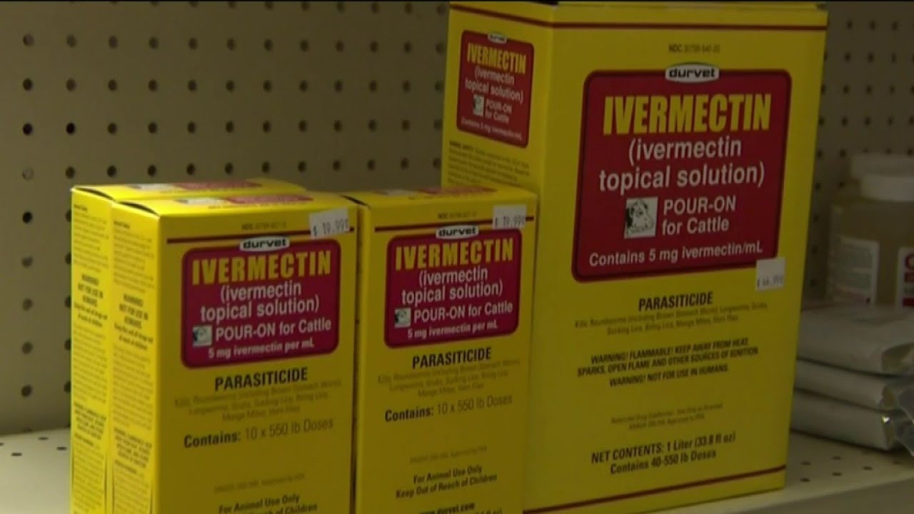 COVID patients turn to livestock drug for treatment YouTube