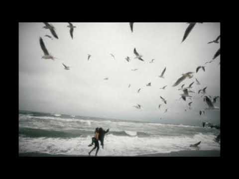 მიყვარხარ ალბათ