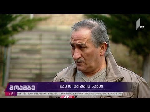 დავით გარეჯის საქმე