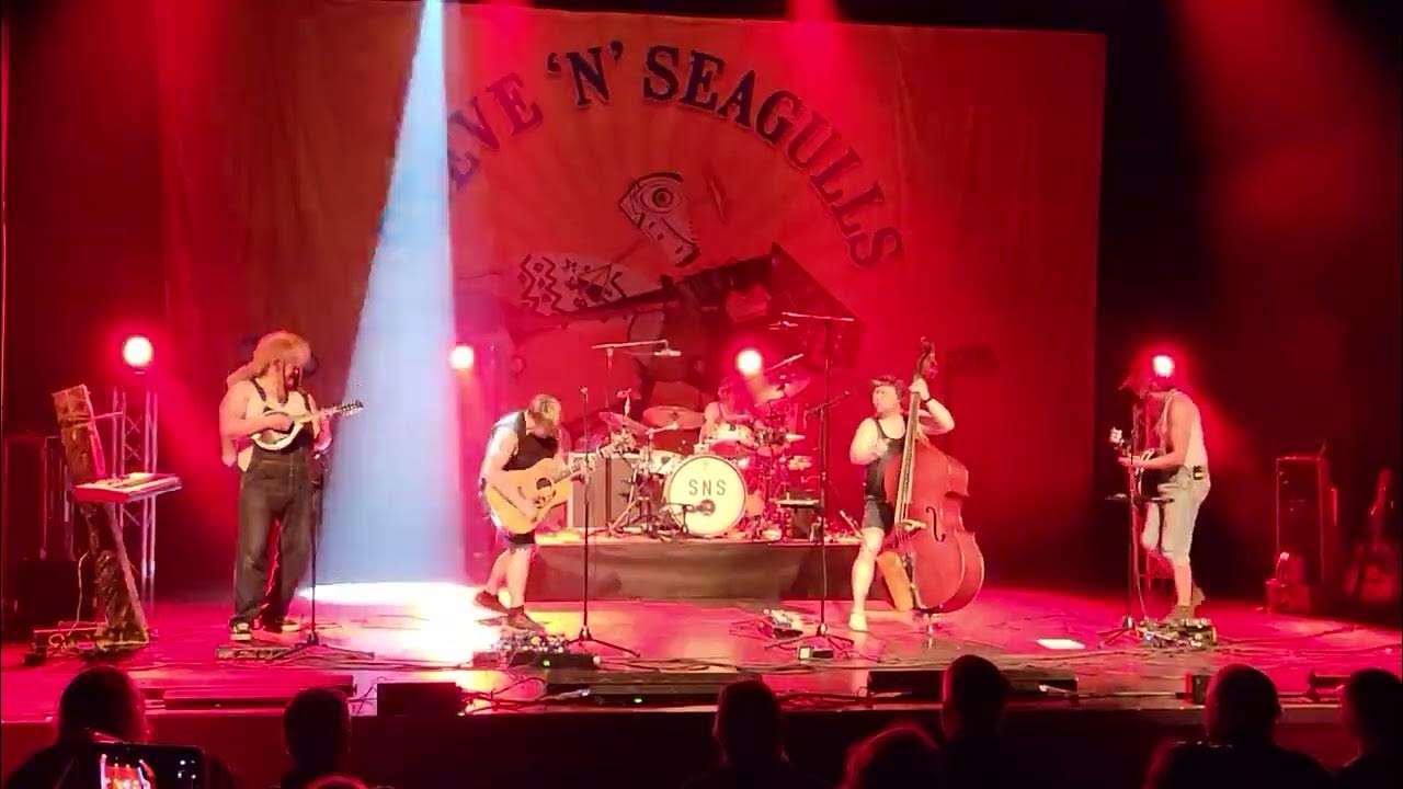 Steve 'N' Seagulls - The Trooper (Iron Maiden cover) Steve 'N' Seagulls - The Trooper (Iron Maiden cover)