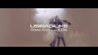 USIBADILIKE by DREAM BOYZ ft FILLE (official HD)