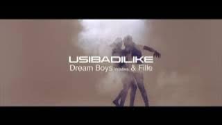 USIBADILIKE by DREAM BOYZ ft FILLE (official HD)