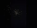 süß die rockets #shorts #leisure_fn_yt #Silvester